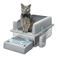 Pet Supplies